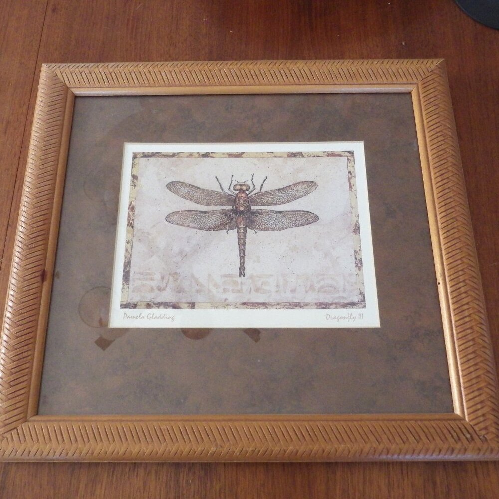 COPY - Wood Framed Dragonfly III Print/Pamala Gladding